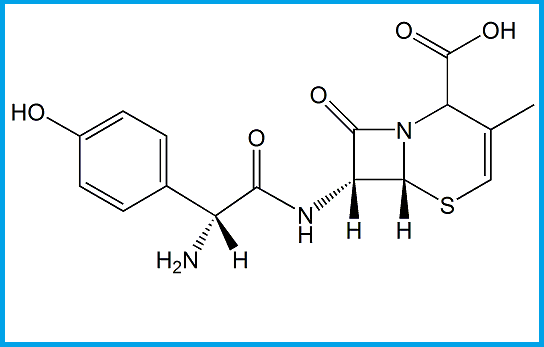 CEFADROXIL USP RC I
